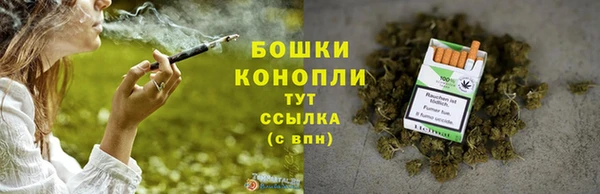 прущие грибы Володарск