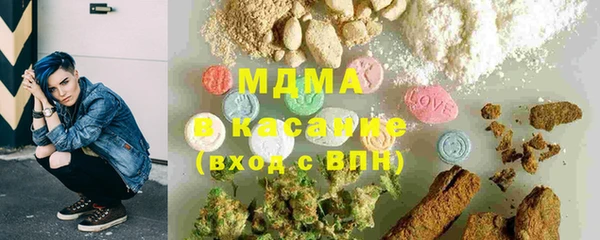 мдпв Вяземский