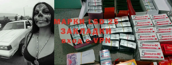 мдпв Вяземский