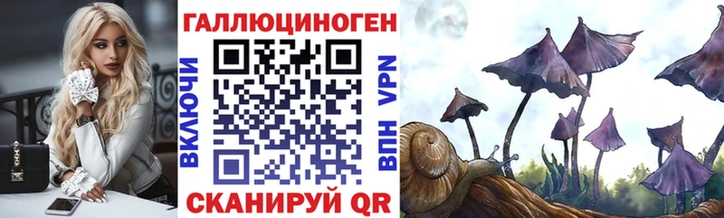 Псилоцибиновые грибы Magic Shrooms Новомичуринск