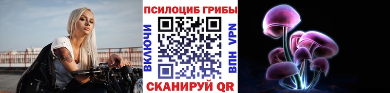Купить где  Новомичуринск  Псилоцибиновые грибы MAGIC MUSHROOMS 