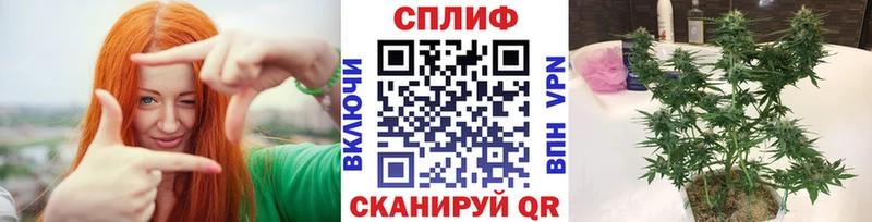 Купить где  Новомичуринск  Канабис Bruce Banner 